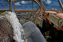 Auto Interior of Abandoned Vehicle by Randall Nyhof