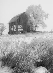 Dilapidated Barn in an early morning Hoar Frost von Randall Nyhof