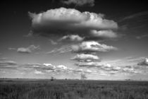 Cloud Formation over the Everglades von Randall Nyhof