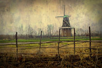 DeZwaan Windmill in Holland Michigan No.02325 by Randall Nyhof