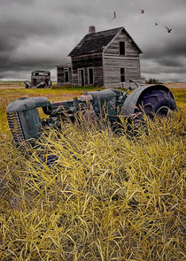 Decline of the Small Farm No 2 von Randall Nyhof