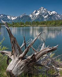 Lewis Lake at Yellowstone National Park by Randall Nyhof