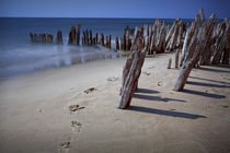 Footprints and Pilings on Kirk Beach von Randall Nyhof