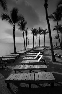 Sun Bathing Benches at a Resort on Key Islamorada von Randall Nyhof