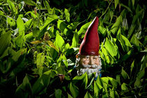Garden Gnome No.47 by Randall Nyhof