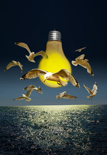 Gulls buzzing the light bulb by Randall Nyhof