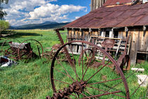 Roseberry Ranch von Kathleen Bishop