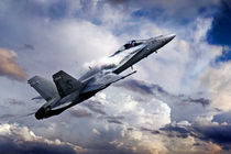 Super Hornet von James Biggadike