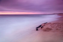 Monterey Beach Sunset by Chris Frost