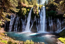 McArthur-Burney Falls Memorial State Park von Chris Frost