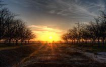 Yuba Country Sunset by agrofilms