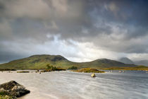 Rannoch Moor Sunshine von Chris Frost