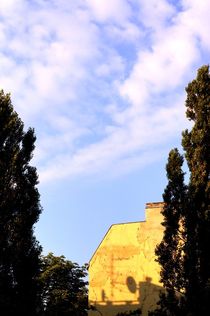 old wall with shadows, trees and sky - alte Hauswand mit Schatten, Bäumen und Himmel von mateart