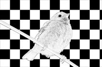 Besser der Spatz an der Wand als die Taube auf dem Dach schwarz/weiss - A bird on the wall is worth two in the bush black/white by mateart