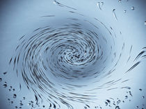 Water Vortex von David Pyatt