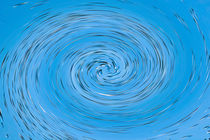 Blue Vortex von David Pyatt