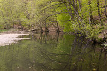 Lake von Evren Kalinbacak