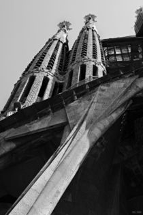 [barcelona] - ... sagrada familia von meleah