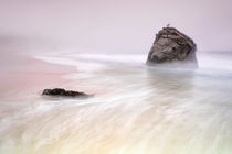 Garrapata Beach Fog von Chris Frost