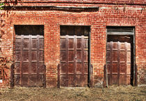 Barn Doors von agrofilms