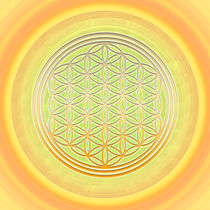 Blume des Lebens - Flower of Life -Das Sonnentor von Chuya Shi