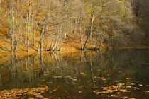 Lake von Evren Kalinbacak