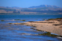 Beach In The Bay von agrofilms