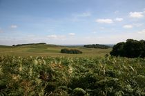 bradgate park von mark severn