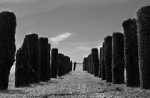 Buhne an der Nordsee - Groyne on the North Sea von ropo13