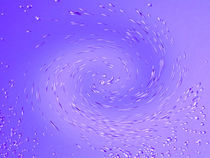 Whirlpool Vortex von David Pyatt