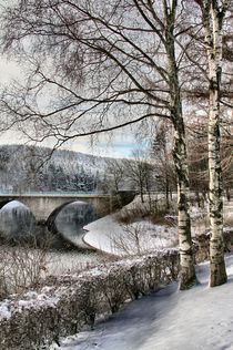Winter am See by Bernhard Kaiser