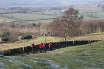 winter walk von mark severn