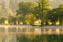 first jogging of the day by Bor Rojnik