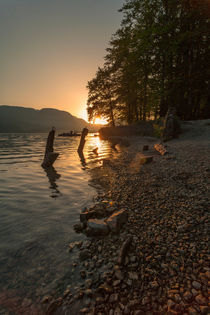 first ray of sun II by Bor Rojnik