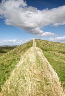 Hadrian's Wall by Chris Frost