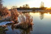 Wintermorgen by Bernhard Kaiser