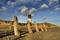 Spurn Coast by Sarah Couzens