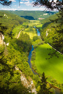 Blick vom Knopfmacherfelsen ins Donautal von Matthias Hauser