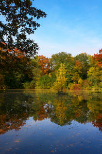 Herbst am See von AD DESIGN Photo + PhotoArt