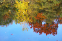 Herbstimpression von AD DESIGN Photo + PhotoArt