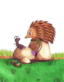 Ant and Echidna by Inge Meldgaard