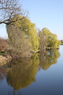 reflections von mark severn