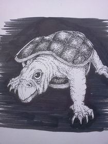 Turtle von Richie Montgomery