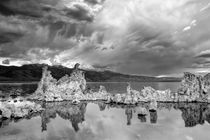 Reflected Storms at Mono Lake von Chris Frost