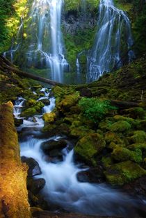 Proxy Falls - Oregon by usaexplorer