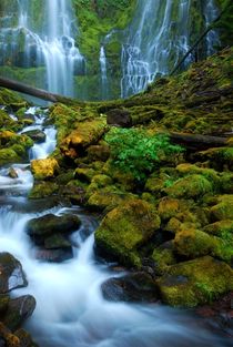 Proxy Falls von usaexplorer