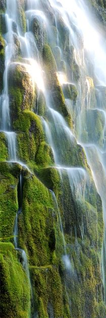 Proxy Falls - USA von usaexplorer