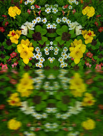 Summer Flowers Reflect von Robert Gipson