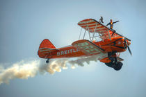 The Wing Walker  von Rob Hawkins