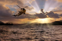 Sea King by James Biggadike